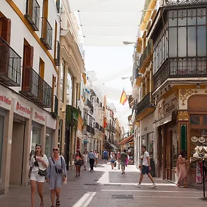 https://gotoseville-sierpes-suite.es-andalucia.com